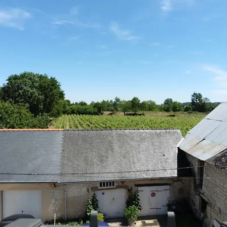 Gite Chemin Des Pres R De Pre Vert Chinon Buitenkant foto